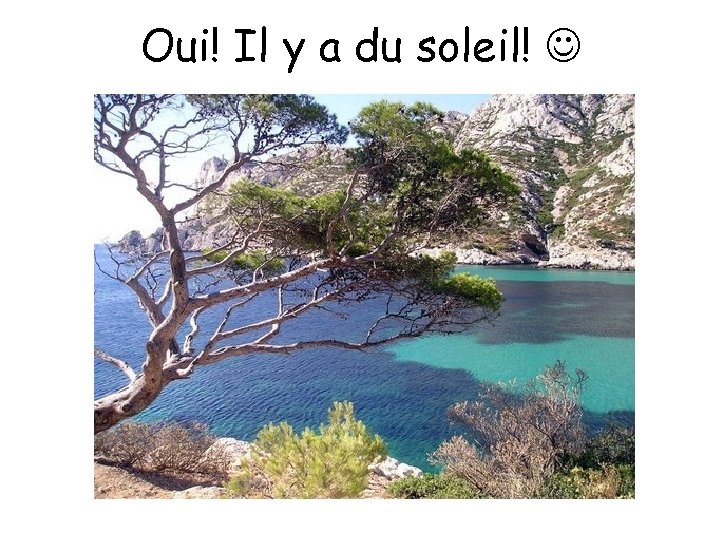 Oui! Il y a du soleil! 