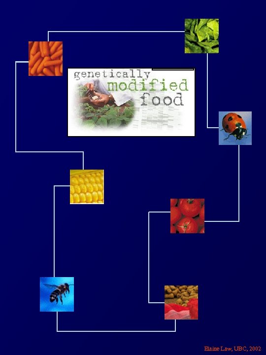 Elaine Law, UBC, 2002 