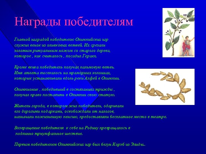 Награды победителям Главной наградой победителю Олимпийских игр служил венок из оливковых ветвей. Их срезали