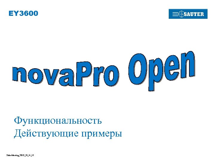 EY 3600 Функциональность Действующие примеры Sales-Meeting_SBCI_29_01_02 