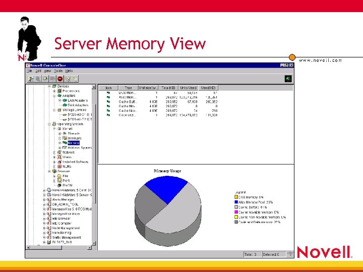 Server Memory View 