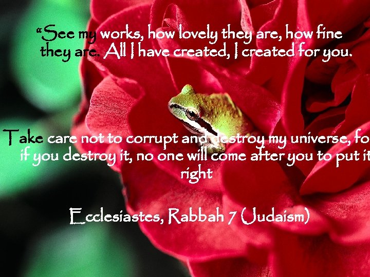 “See my works, how lovely they are, how fine they are. All I have