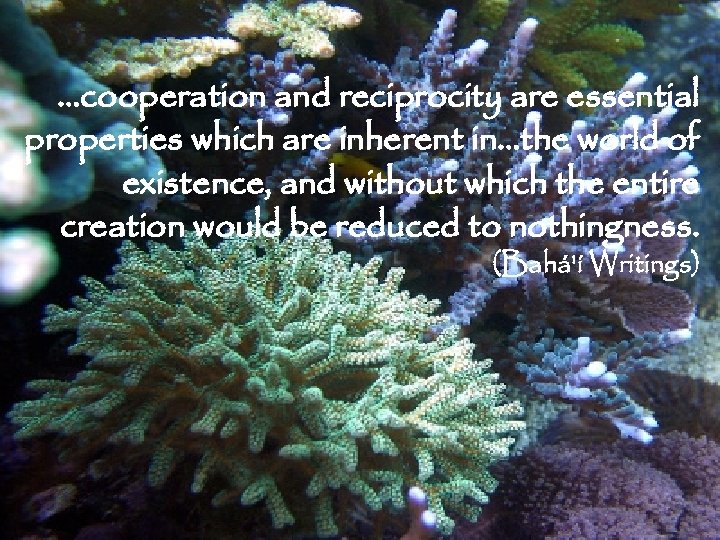 …cooperation and reciprocity are essential properties which are inherent in…the world of existence, and