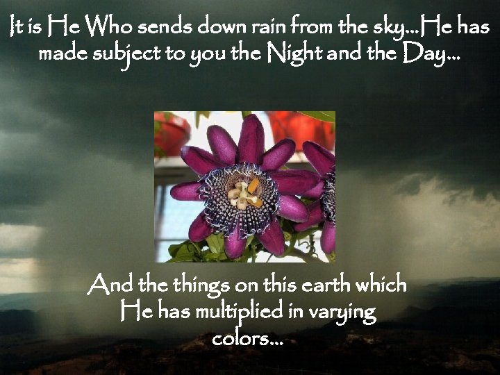 It is He Who sends down rain from the sky…He has made subject to