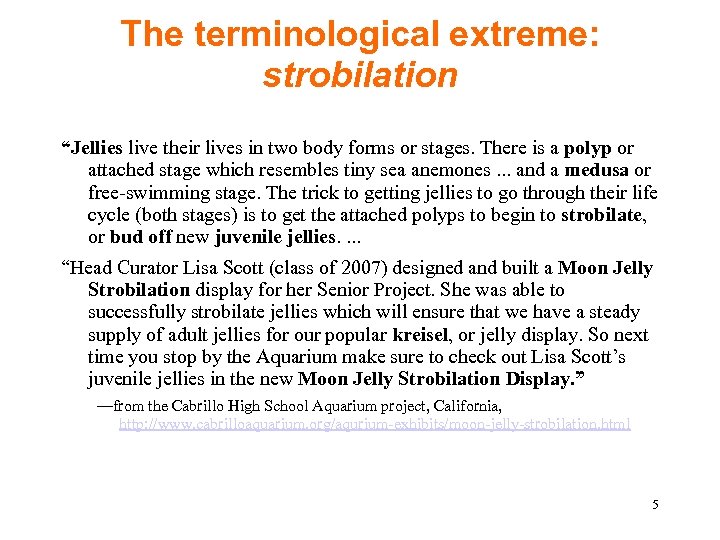 The terminological extreme: strobilation “Jellies live their lives in two body forms or stages.