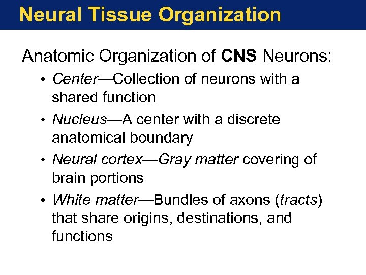 Neural Tissue Organization Anatomic Organization of CNS Neurons: • Center—Collection of neurons with a