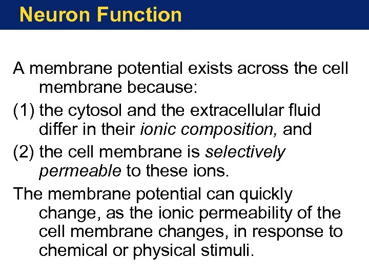 Neuron Function A membrane potential exists across the cell membrane because: (1) the cytosol