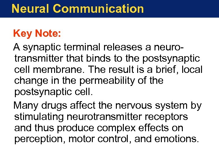 Neural Communication Key Note: A synaptic terminal releases a neurotransmitter that binds to the