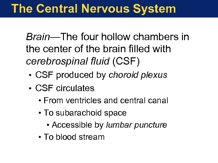 The Central Nervous System Brain—The four hollow chambers in the center of the brain