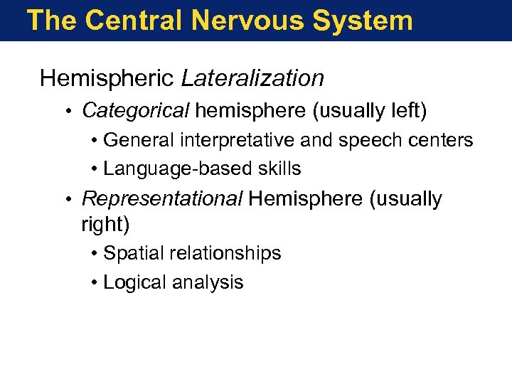 The Central Nervous System Hemispheric Lateralization • Categorical hemisphere (usually left) • General interpretative