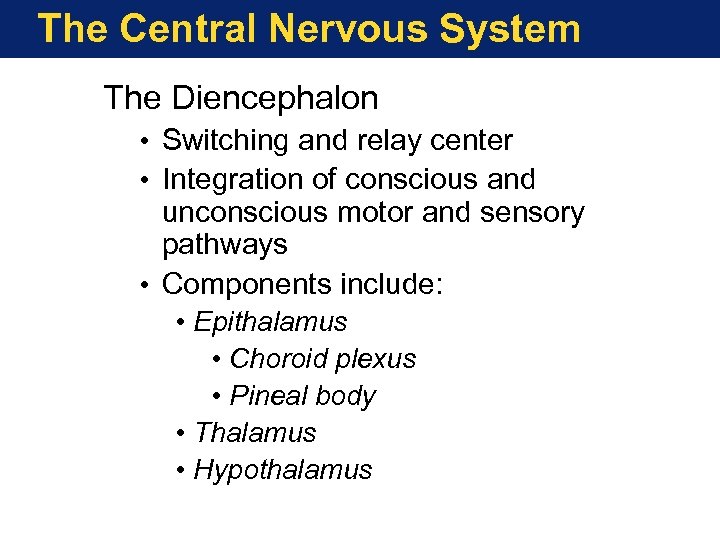 The Central Nervous System The Diencephalon • Switching and relay center • Integration of