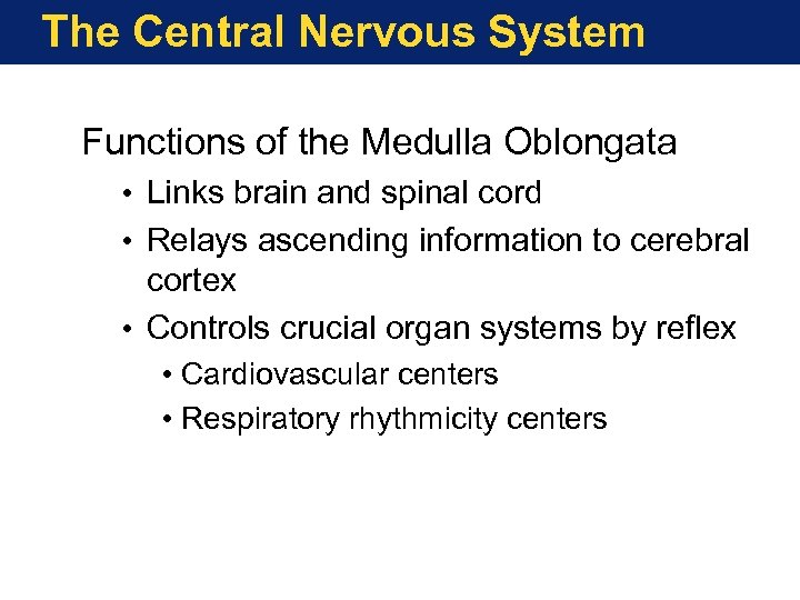 The Central Nervous System Functions of the Medulla Oblongata • Links brain and spinal