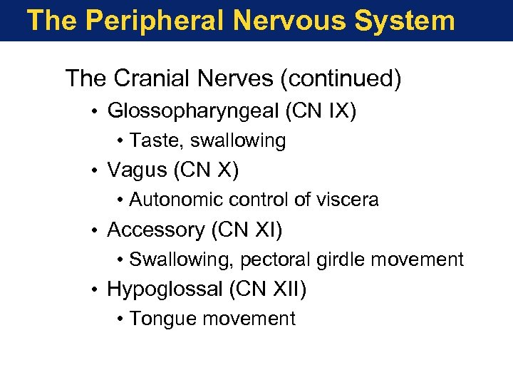 The Peripheral Nervous System The Cranial Nerves (continued) • Glossopharyngeal (CN IX) • Taste,