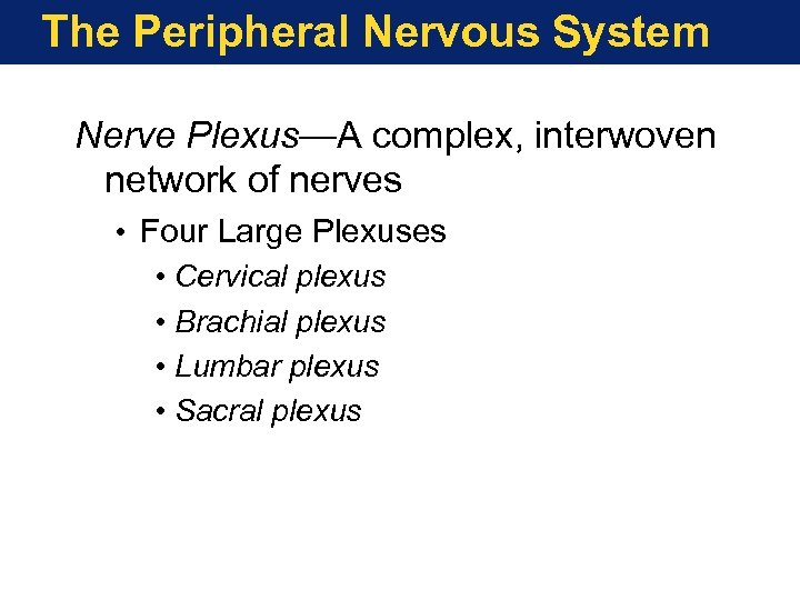 The Peripheral Nervous System Nerve Plexus—A complex, interwoven network of nerves • Four Large