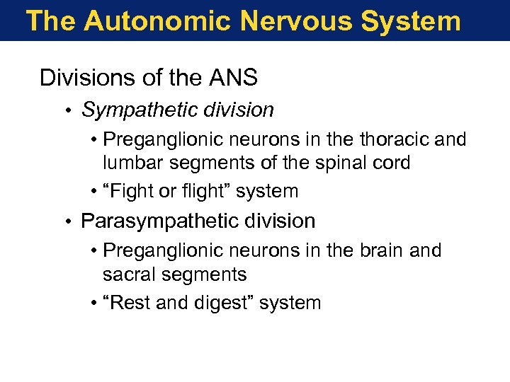 The Autonomic Nervous System Divisions of the ANS • Sympathetic division • Preganglionic neurons