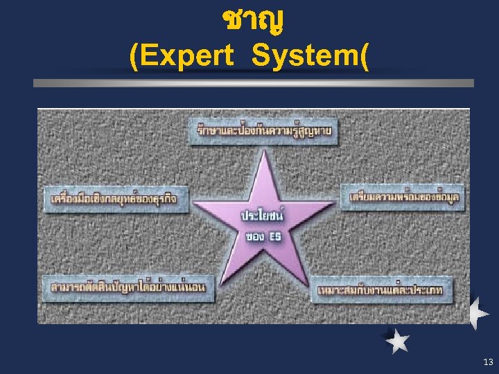 ชาญ (Expert System( 13 