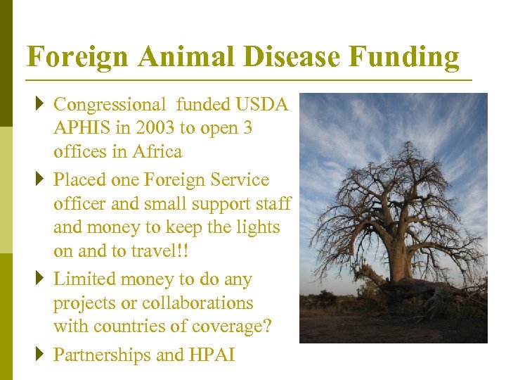 Foreign Animal Disease Funding } Congressional funded USDA APHIS in 2003 to open 3