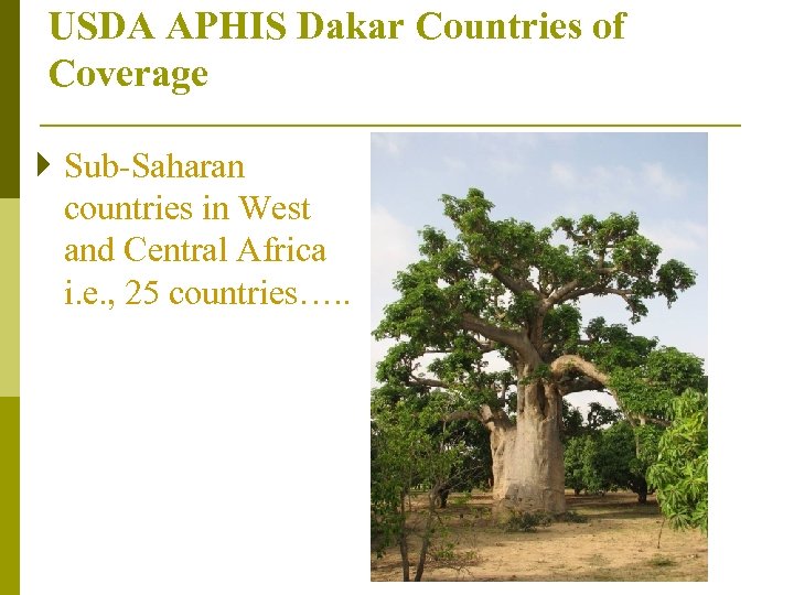 USDA APHIS Dakar Countries of Coverage } Sub-Saharan countries in West and Central Africa