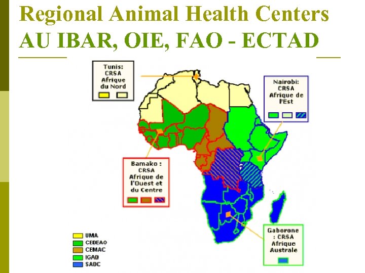 Regional Animal Health Centers AU IBAR, OIE, FAO - ECTAD 