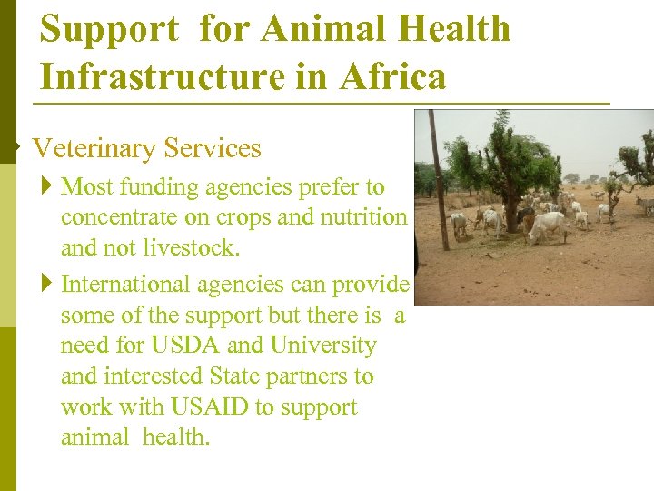 Support for Animal Health Infrastructure in Africa } Veterinary Services } Most funding agencies