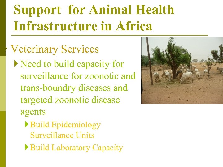 Support for Animal Health Infrastructure in Africa } Veterinary Services } Need to build