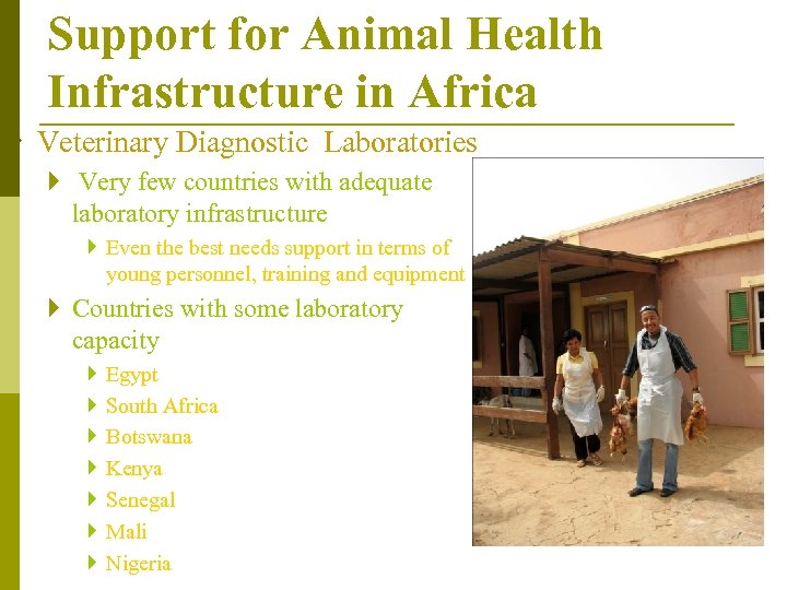 Support for Animal Health Infrastructure in Africa } Veterinary Diagnostic Laboratories } Very few