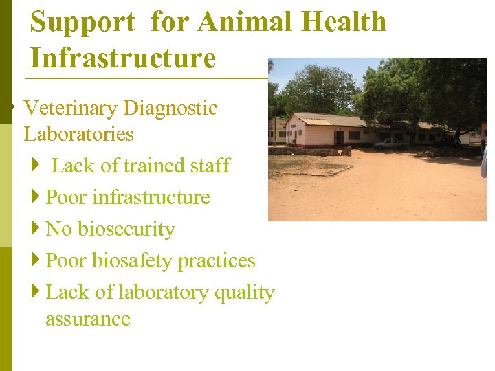 Support for Animal Health Infrastructure } Veterinary Diagnostic Laboratories } Lack of trained staff