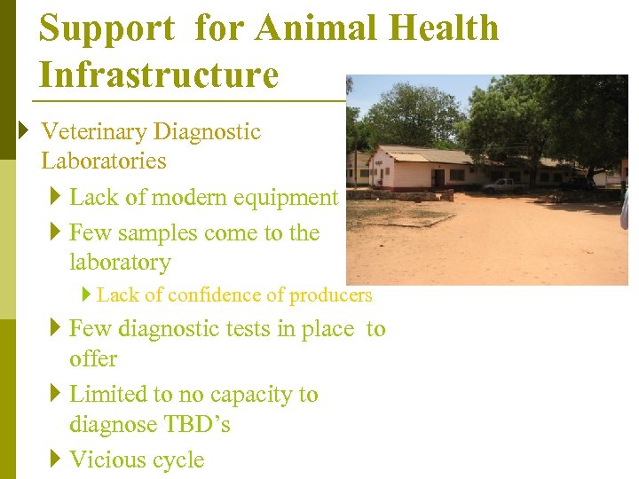 Support for Animal Health Infrastructure } Veterinary Diagnostic Laboratories } Lack of modern equipment