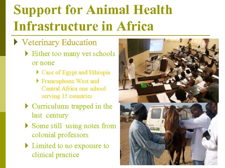 Support for Animal Health Infrastructure in Africa } Veterinary Education } Either too many