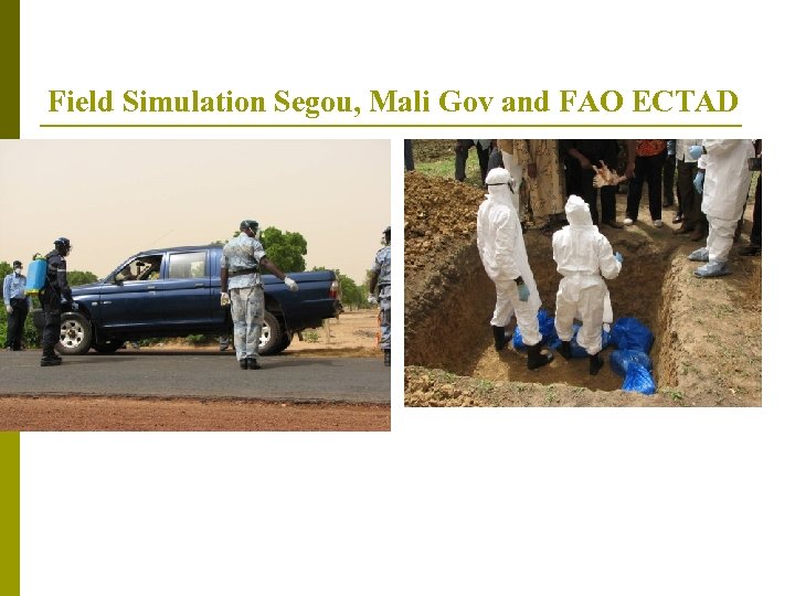 Field Simulation Segou, Mali Gov and FAO ECTAD 