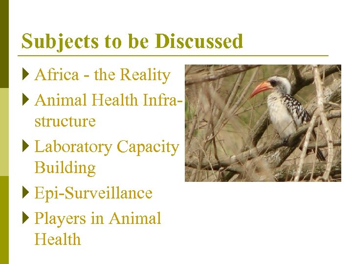 Subjects to be Discussed } Africa - the Reality } Animal Health Infrastructure }