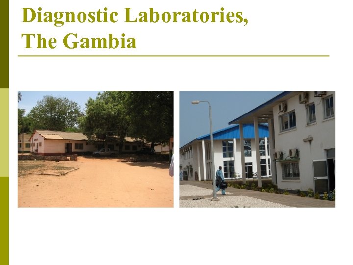 Diagnostic Laboratories, The Gambia 