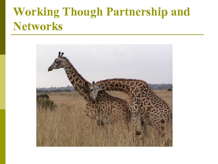 Working Though Partnership and Networks 