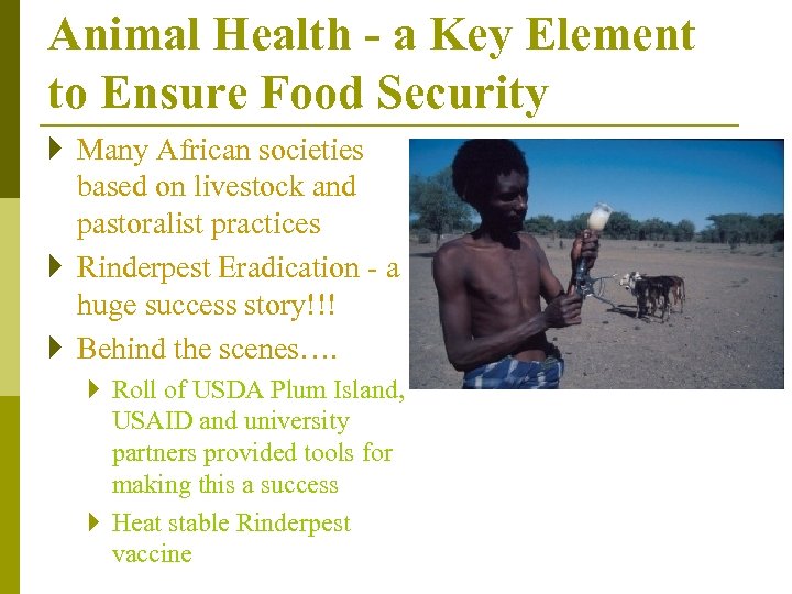 Animal Health - a Key Element to Ensure Food Security } Many African societies