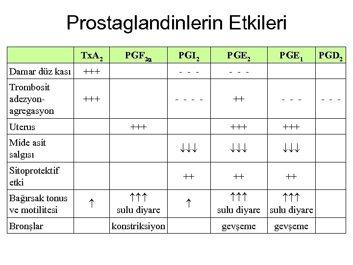 Prostaglandinlerin Etkileri Tx. A 2 PGF 2 a PGI 2 PGE 1 PGD 2