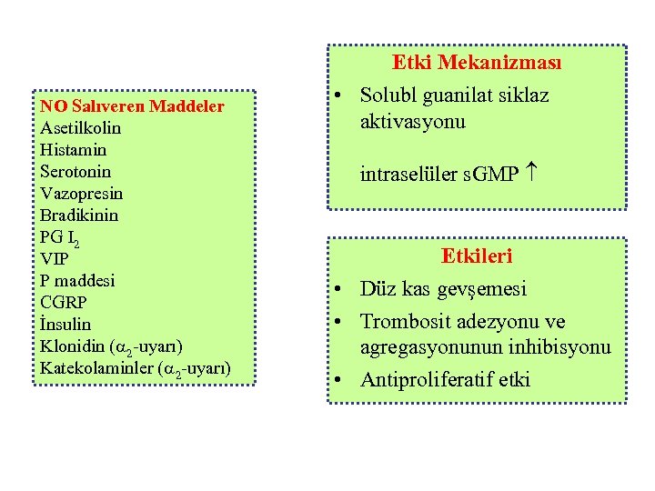 Etki Mekanizması NO Salıveren Maddeler Asetilkolin Histamin Serotonin Vazopresin Bradikinin PG I 2 VIP