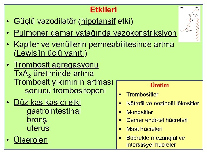  • • • Etkileri Güçlü vazodilatör (hipotansif etki) Pulmoner damar yatağında vazokonstriksiyon Kapiler