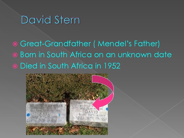 David Stern Great-Grandfather ( Mendel’s Father) Born in South Africa on an unknown date