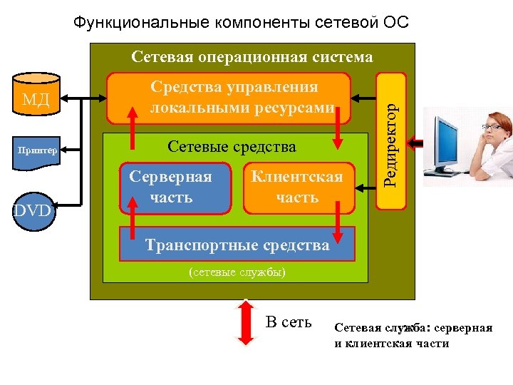 Функциональная составляющая. Функциональные компоненты сетевой ОС. Компоненты сетевая Операционная система  локальной сети. Основные функциональные компоненты сетевой ОС:. Сетевые и распределенные ОС.