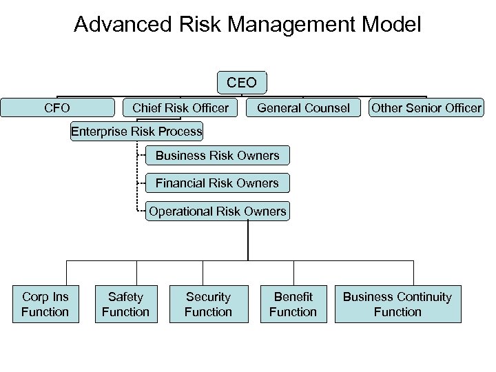 Advanced Risk Management Model CEO CFO Chief Risk Officer General Counsel Other Senior Officer