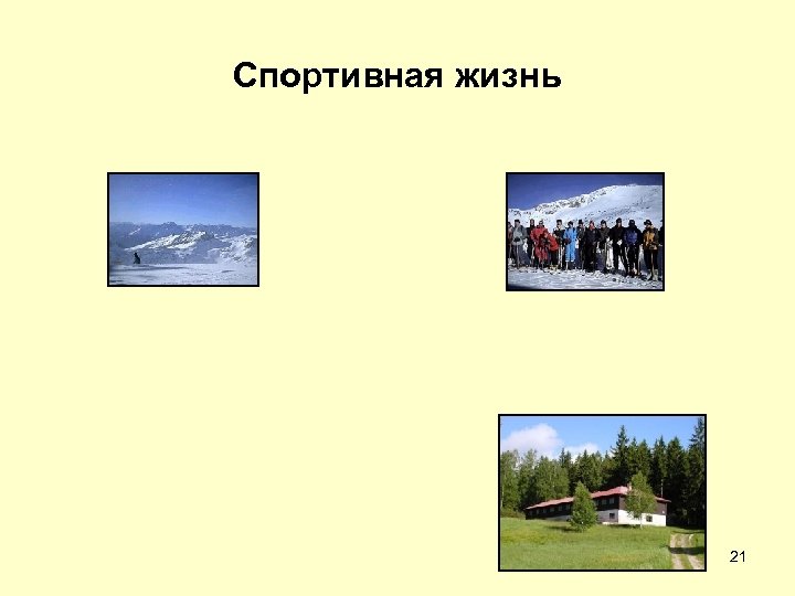 Спортивная жизнь 21 