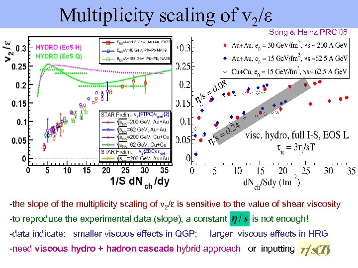  Multiplicity scaling of v 2/ε Song & Heinz PRC 08 -the slope of
