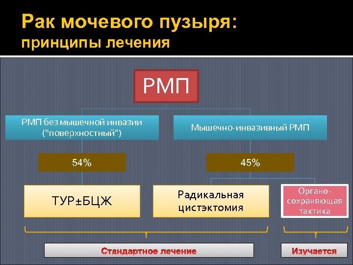 Рак мочевого пузыря: принципы лечения РМП без мышечной инвазии (“поверхностный”) Мышечно-инвазивный РМП 54% 45%