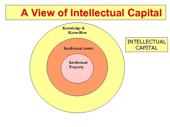 A View of Intellectual Capital Knowledge & Know-How Intellectual Assets Intellectual Property INTELLECTUAL CAPITAL