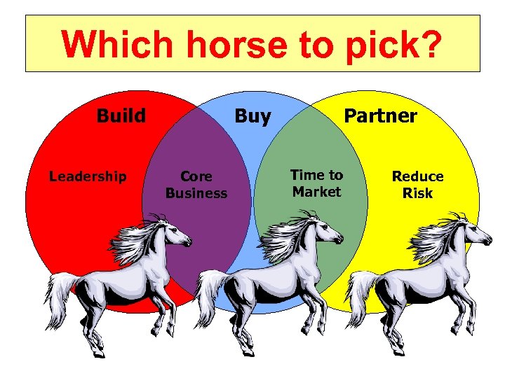 Which horse to pick? Build Leadership Buy Core Business Partner Time to Market Reduce