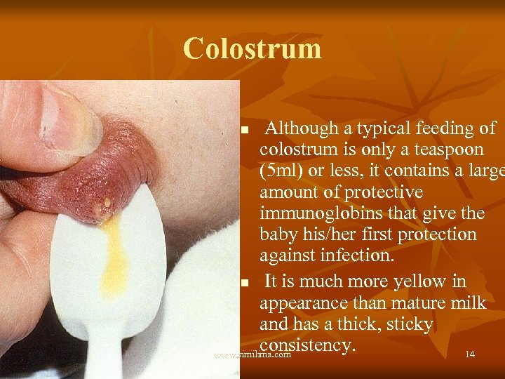 Colostrum Although a typical feeding of colostrum is only a teaspoon (5 ml) or