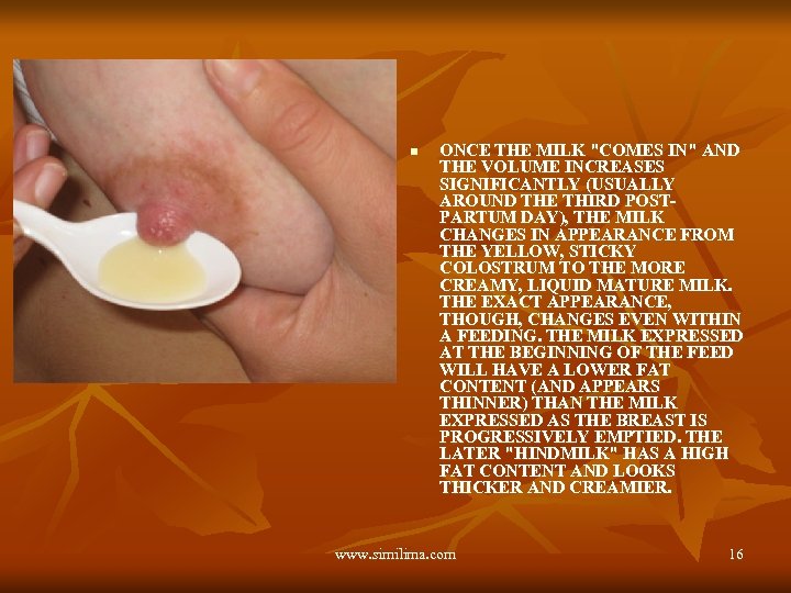 n ONCE THE MILK "COMES IN" AND THE VOLUME INCREASES SIGNIFICANTLY (USUALLY AROUND THE