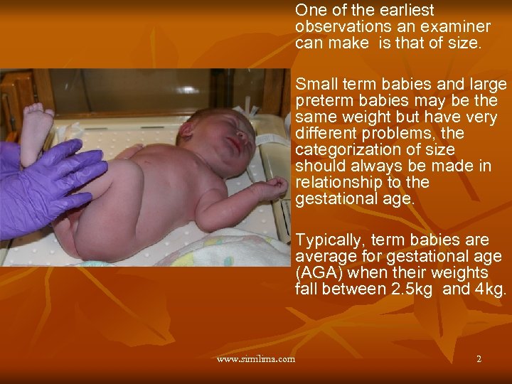 One of the earliest observations an examiner can make is that of size. Small