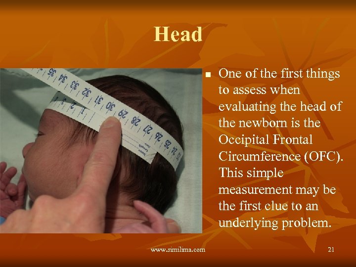 Head n www. similima. com One of the first things to assess when evaluating