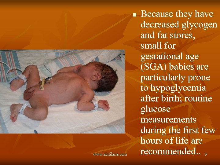 n www. similima. com Because they have decreased glycogen and fat stores, small for